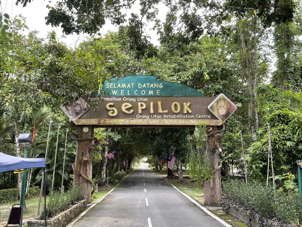 Sepilok Orang Utan Rehabilitation Centre