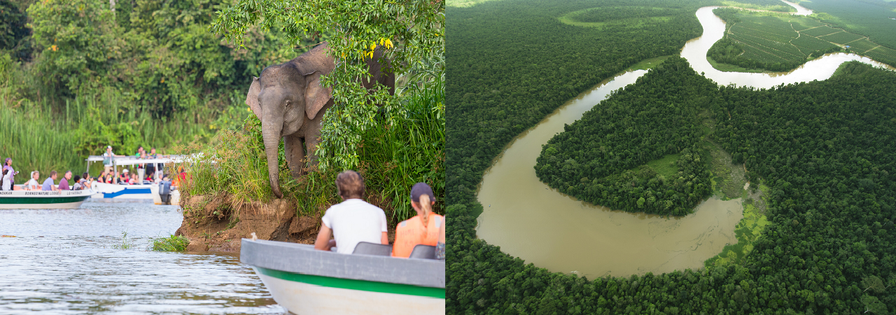 Kinabatangan Wildlife Sanctuary