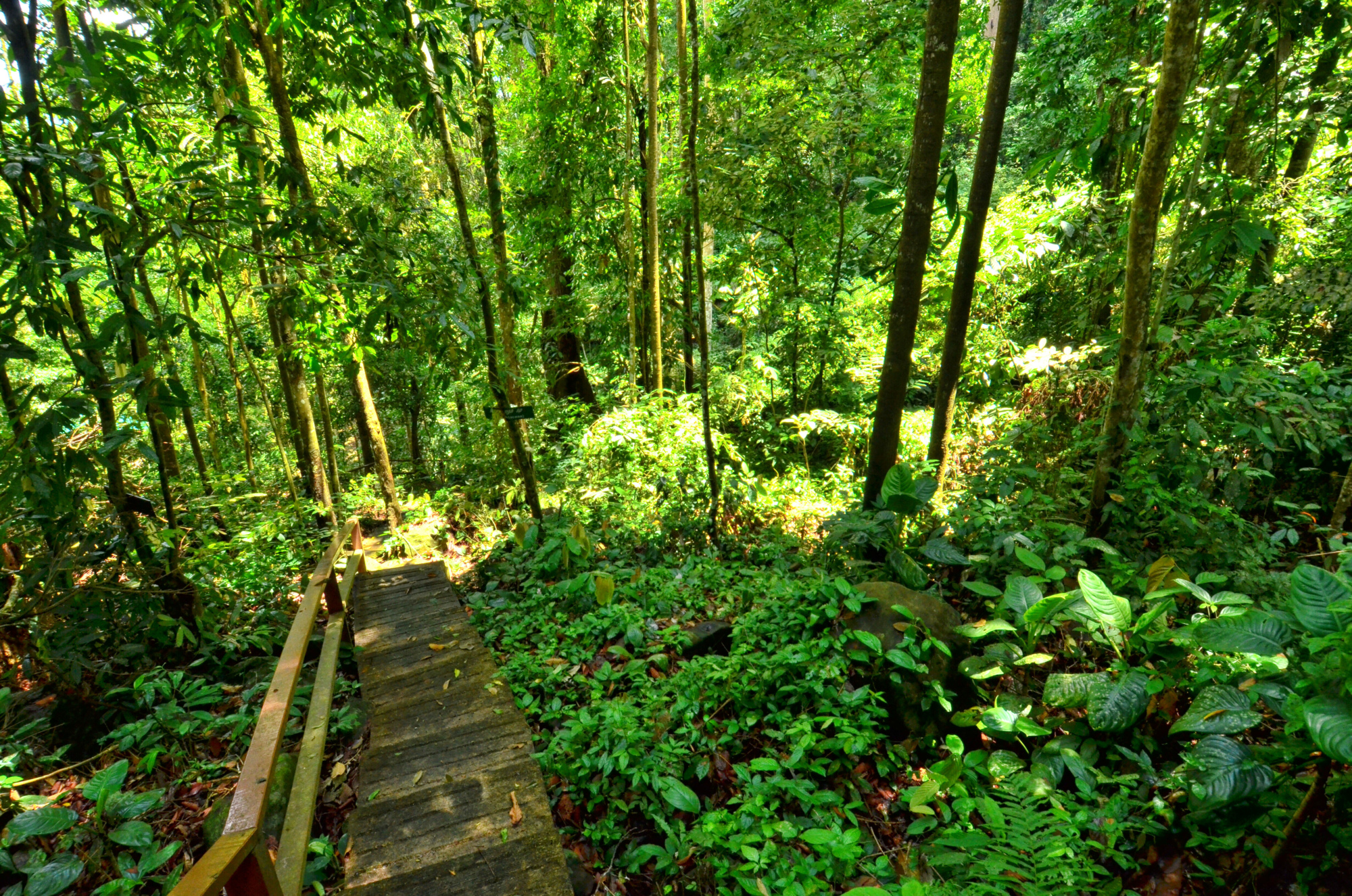 Bukit Gemok, Tawau