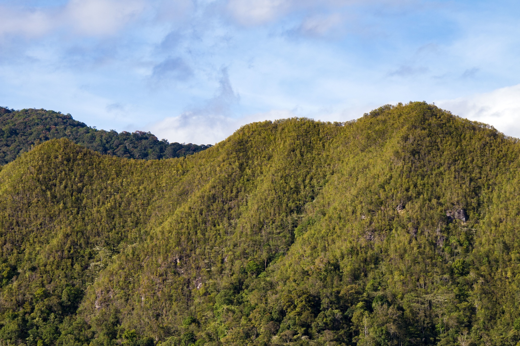 Gunung Wakid