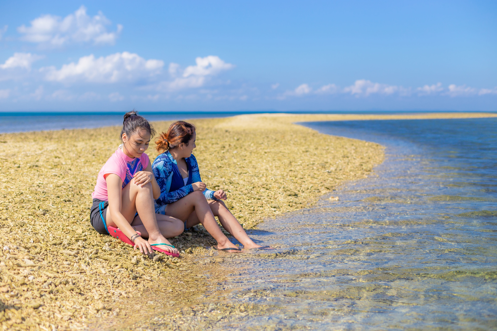 Floating Coral Bar, Pitas