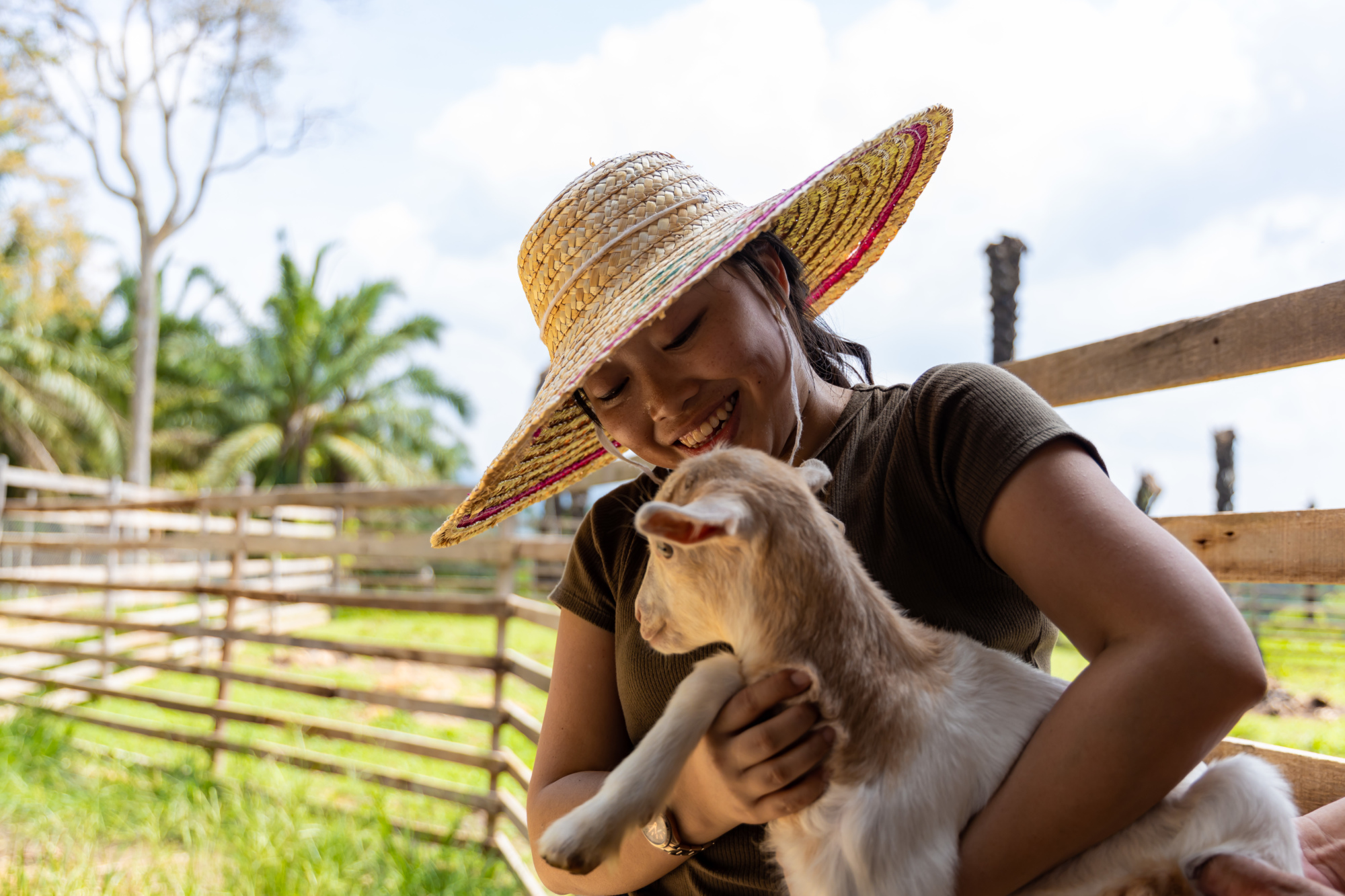 Tenom – Padas Farmstay