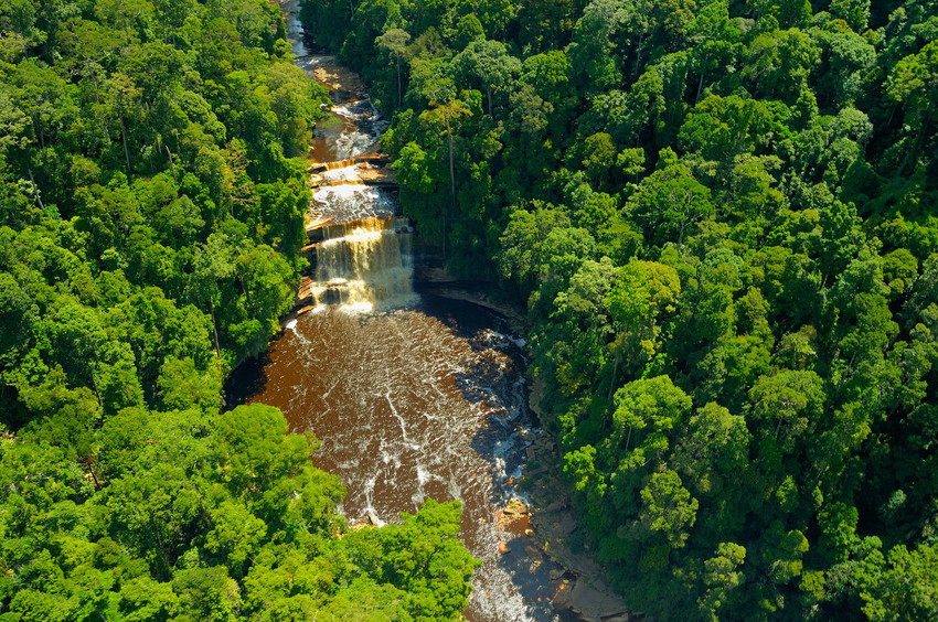 Maliau Basin (Sabah’s Lost World)