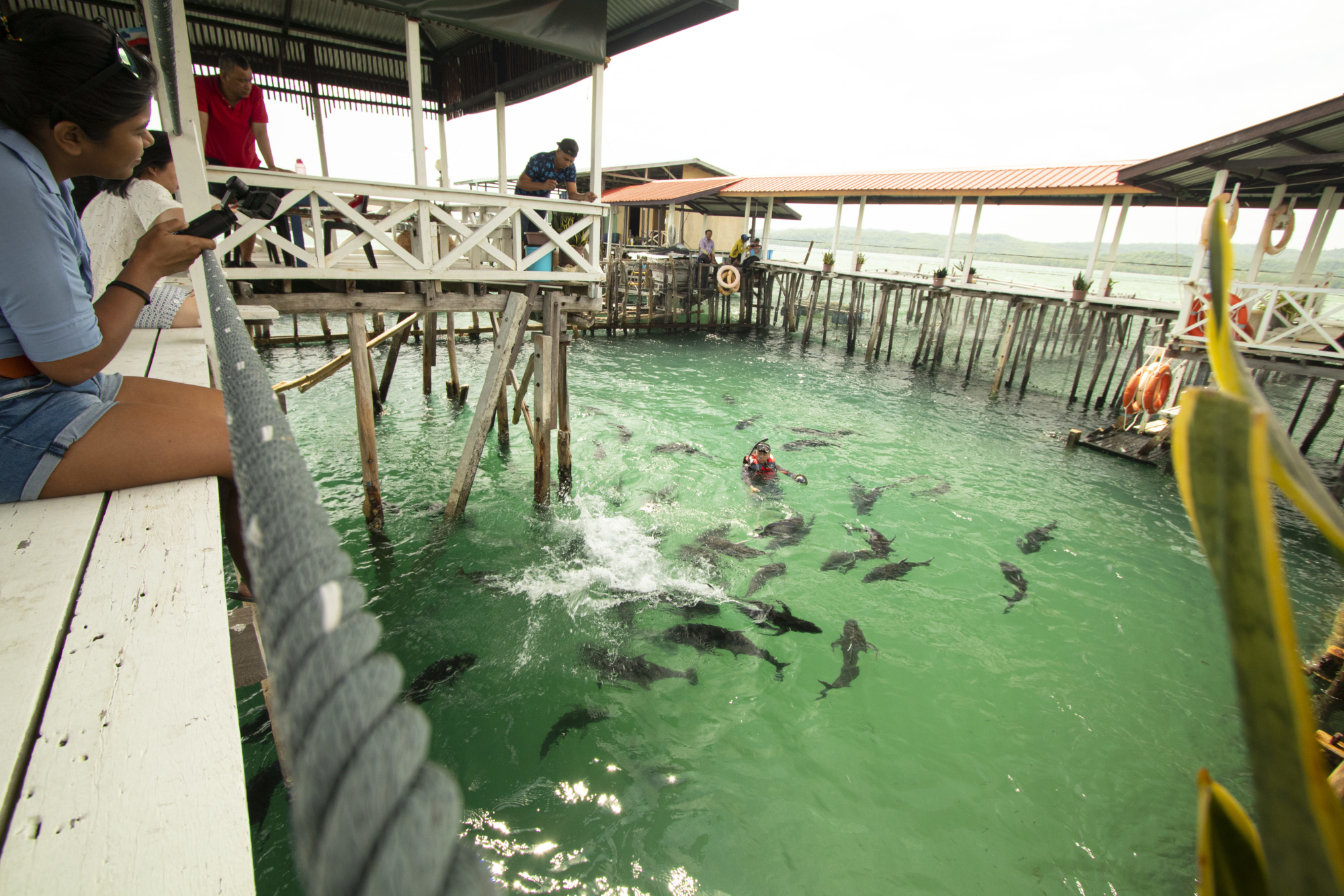 Tambakan Fish Farm