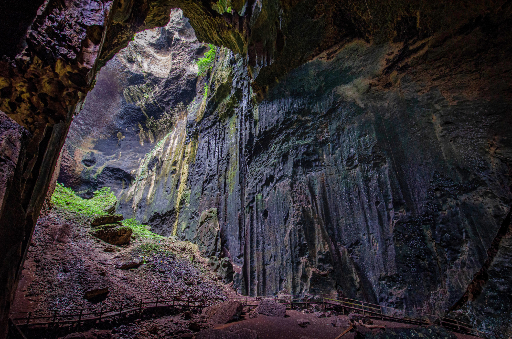 Gomantong Cave