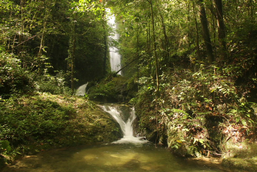 Serinsim Park (Kinabalu Park substation)