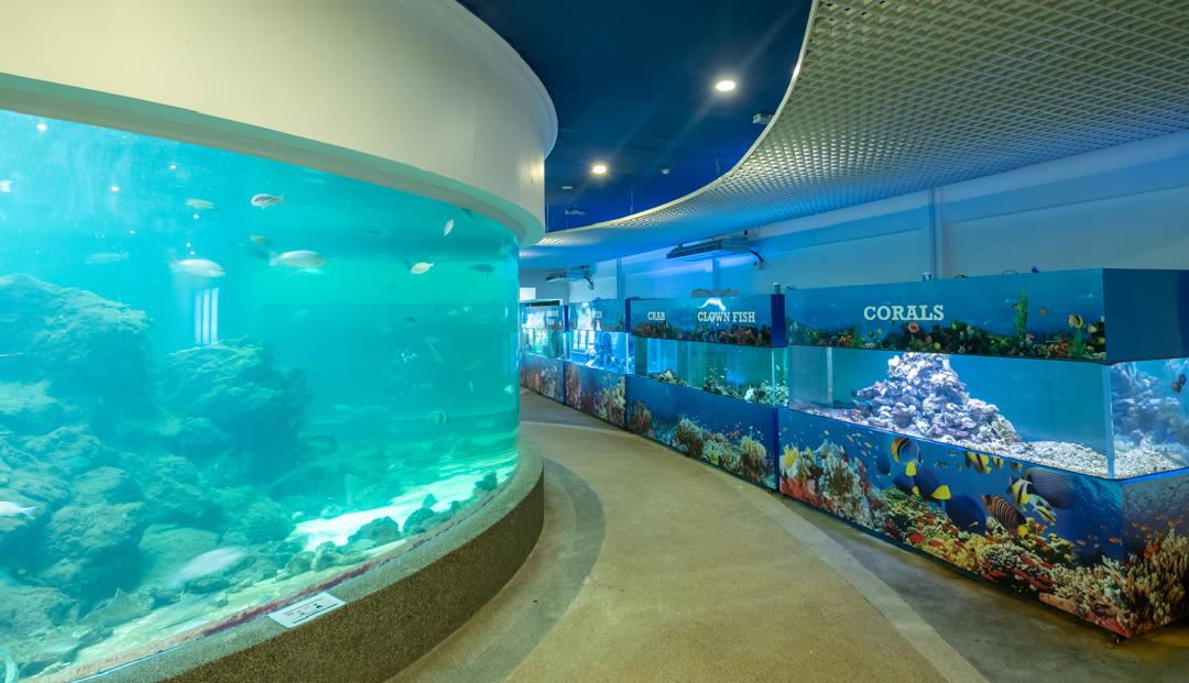 Aquarium & Marine Museum