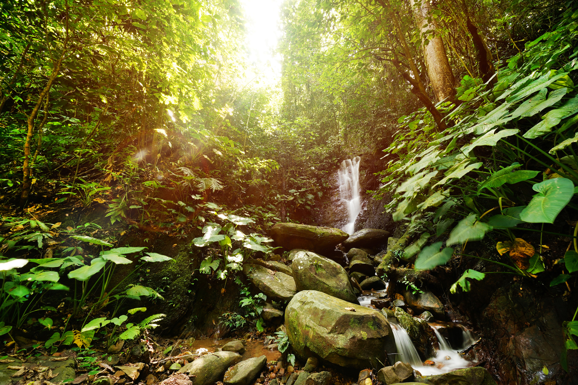 Inobong Kibambang Waterfall (Part of Crocker Range Park Location) Photo credit Sabah Park