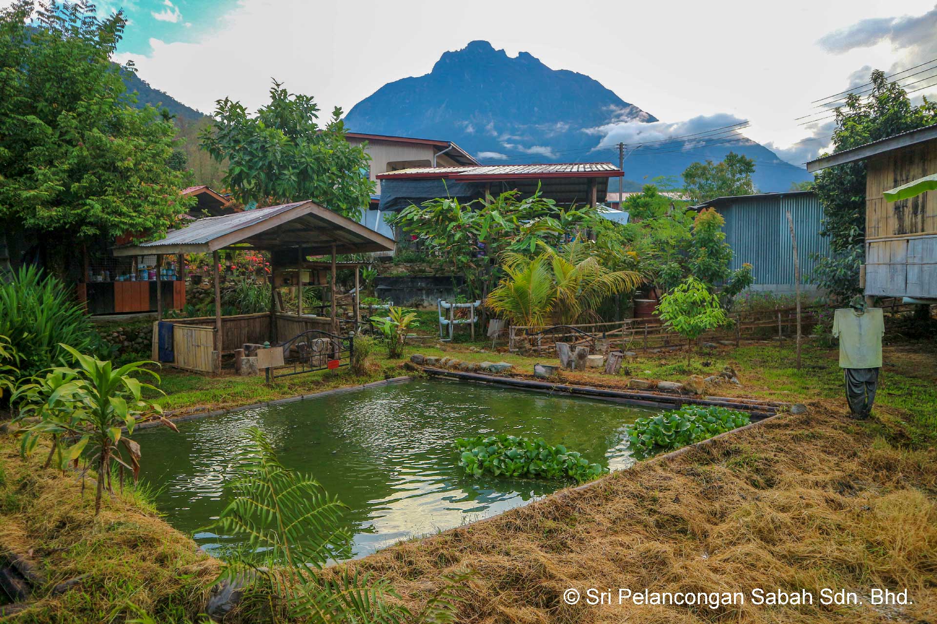 Tanak Nabalu Homestay