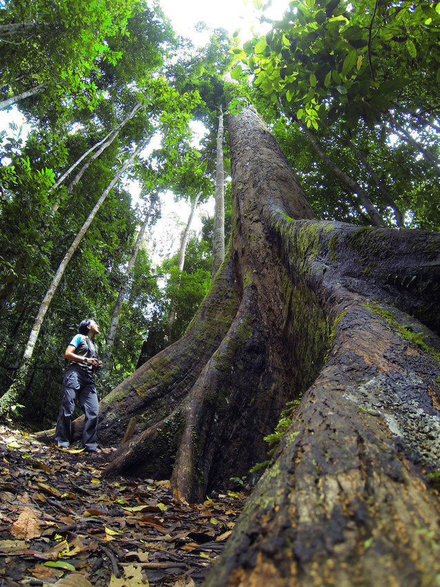 Tawau Hills Park